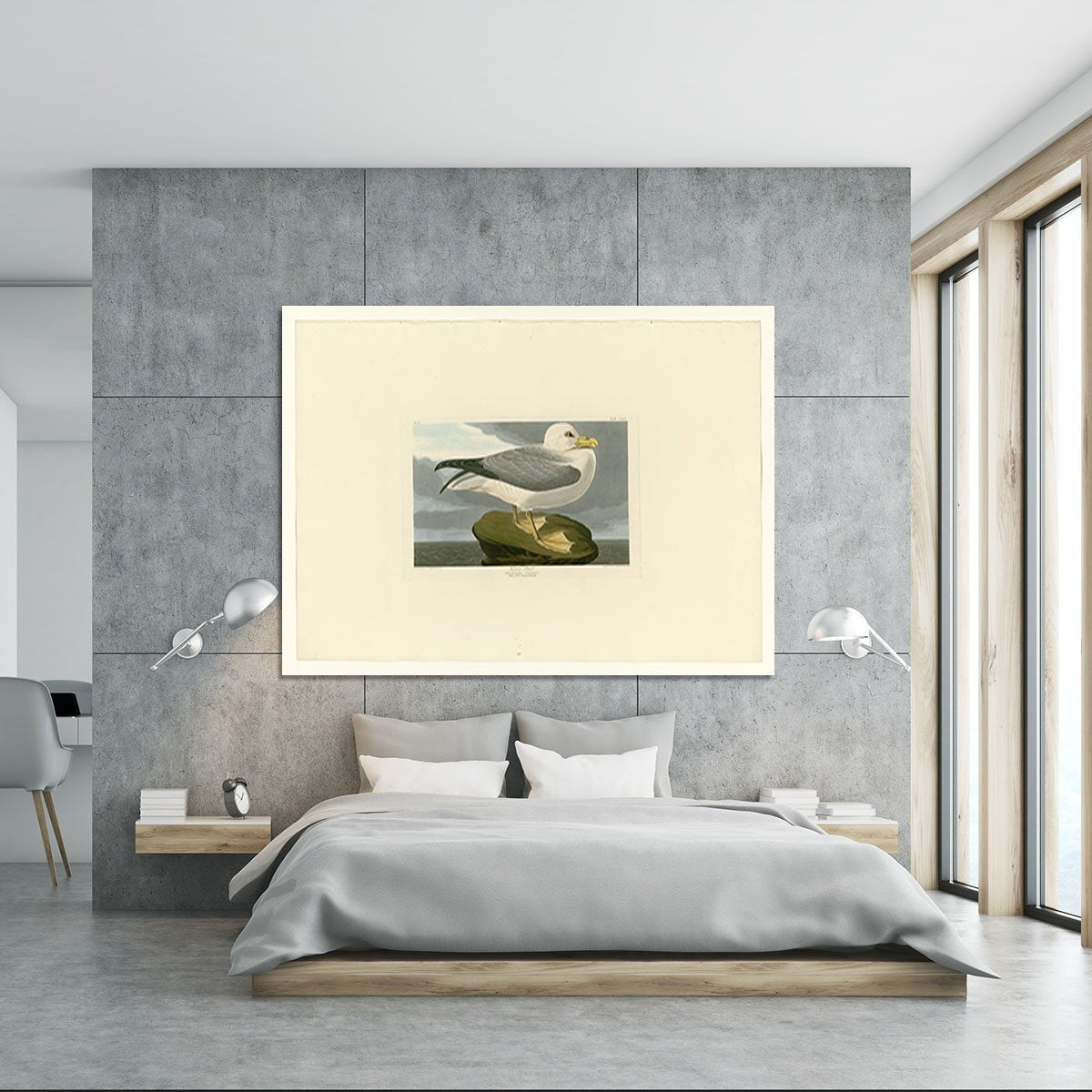 Fulmar Petrel by Audubon Canvas Print or Poster