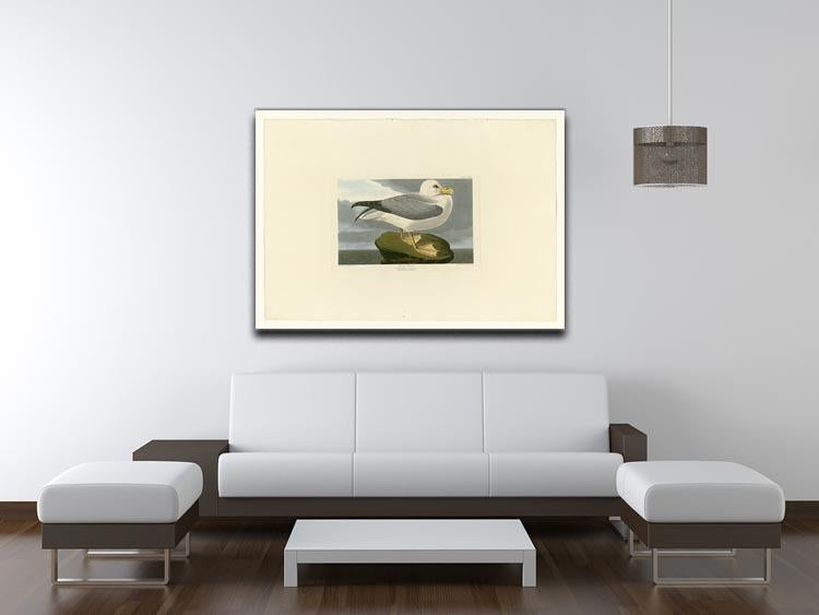 Fulmar Petrel by Audubon Canvas Print or Poster - Canvas Art Rocks - 4