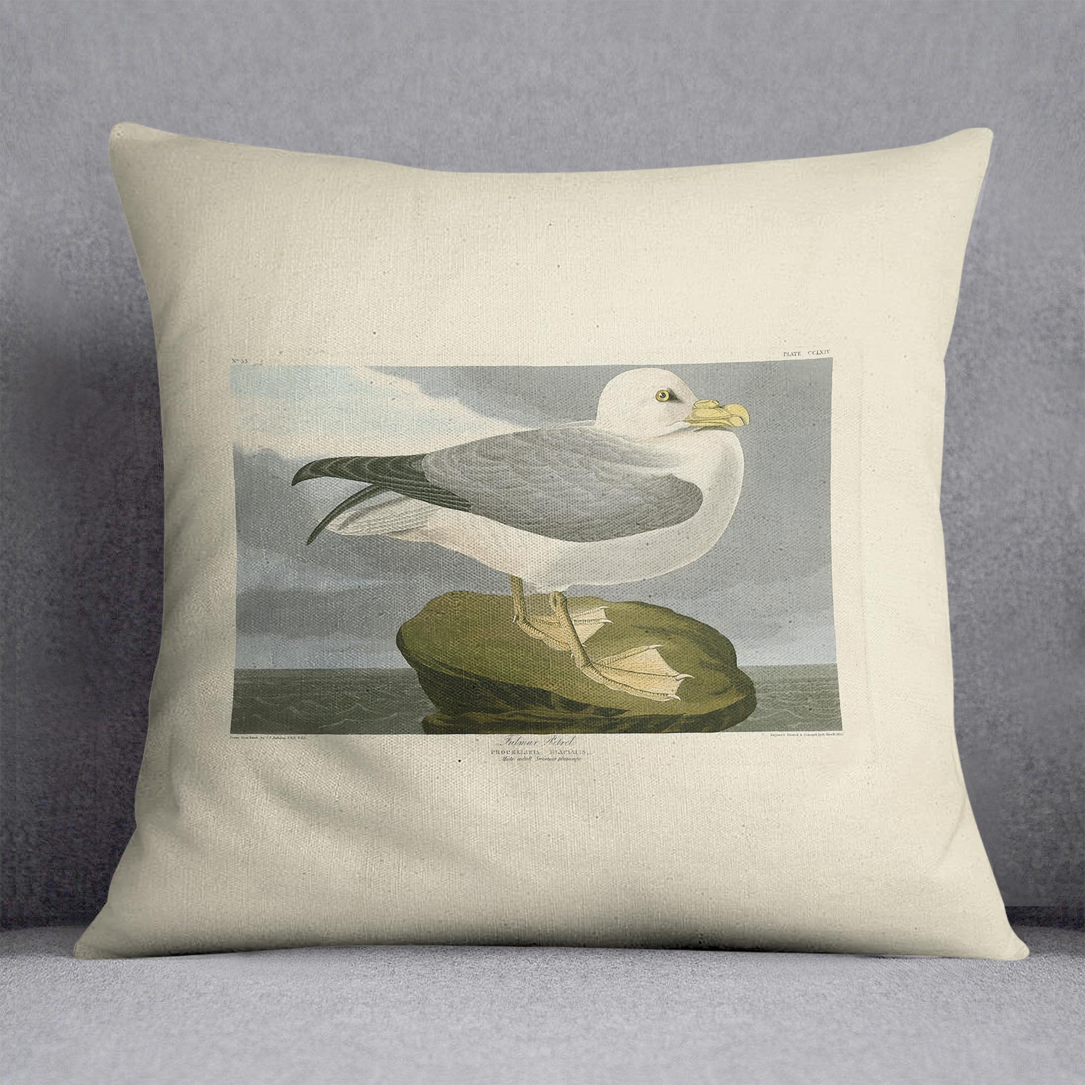 Fulmar Petrel by Audubon Cushion