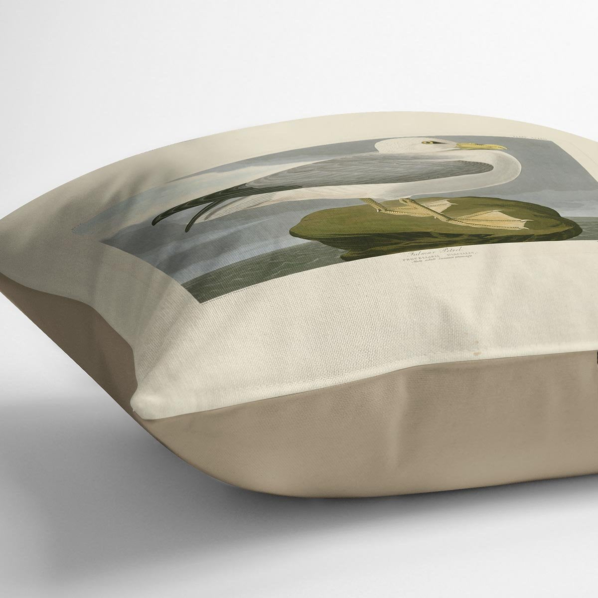 Fulmar Petrel by Audubon Cushion