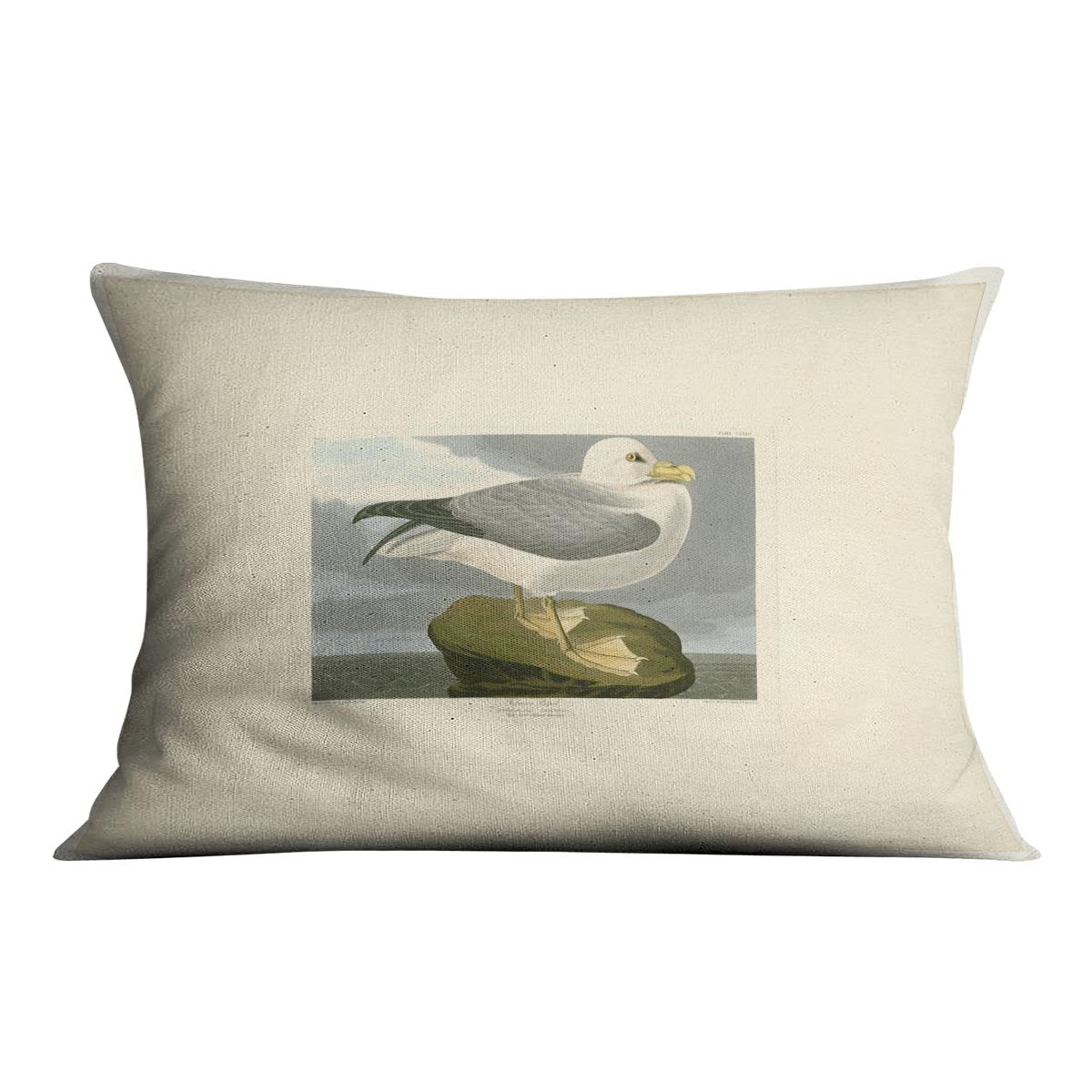 Fulmar Petrel by Audubon Cushion