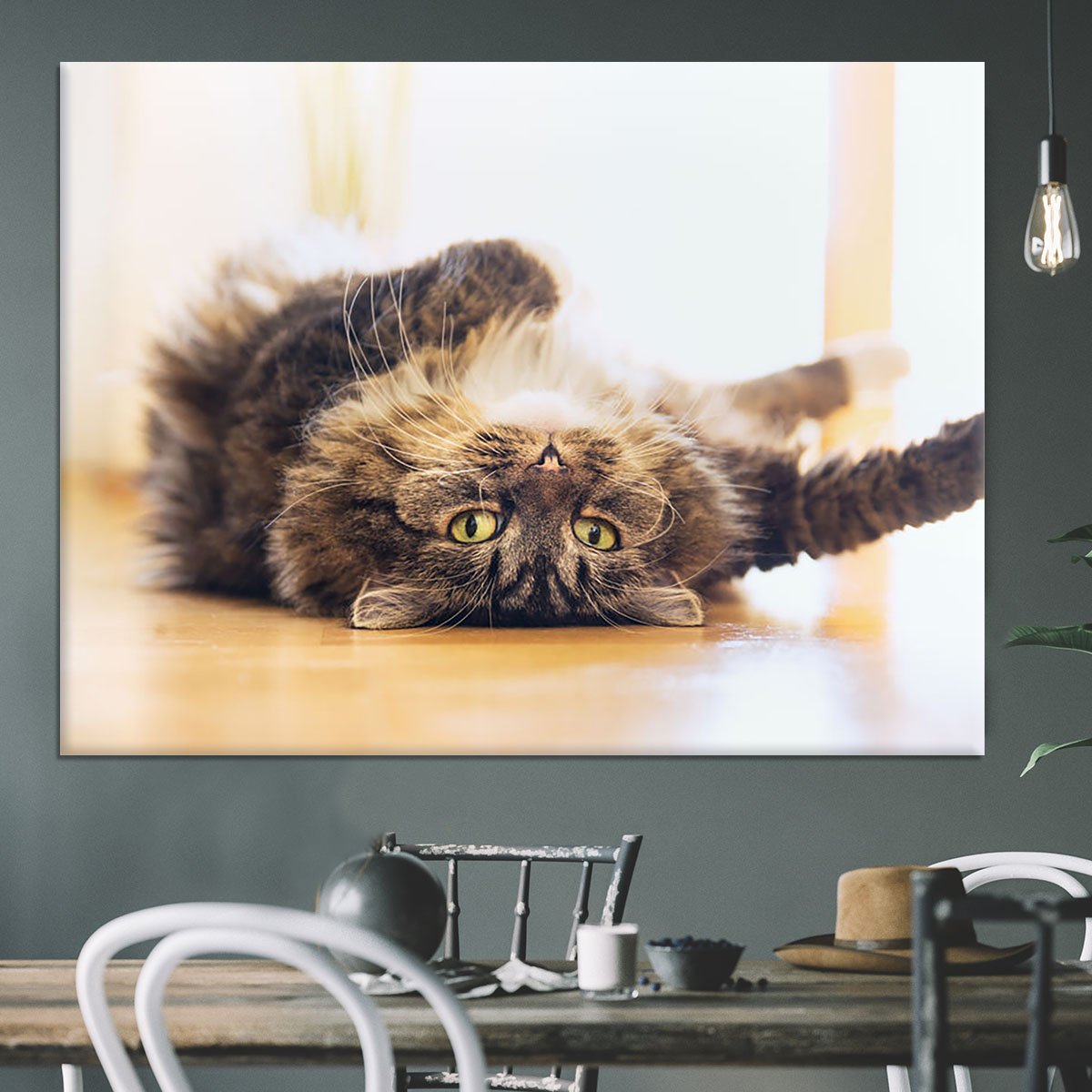 Funny cat is lying relaxed on his back Canvas Print or Poster