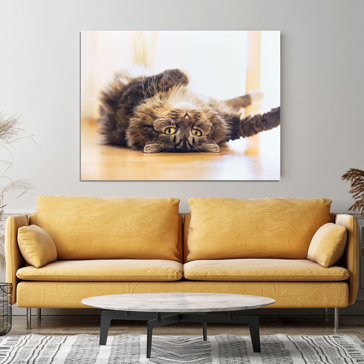 Funny cat is lying relaxed on his back Canvas Print or Poster