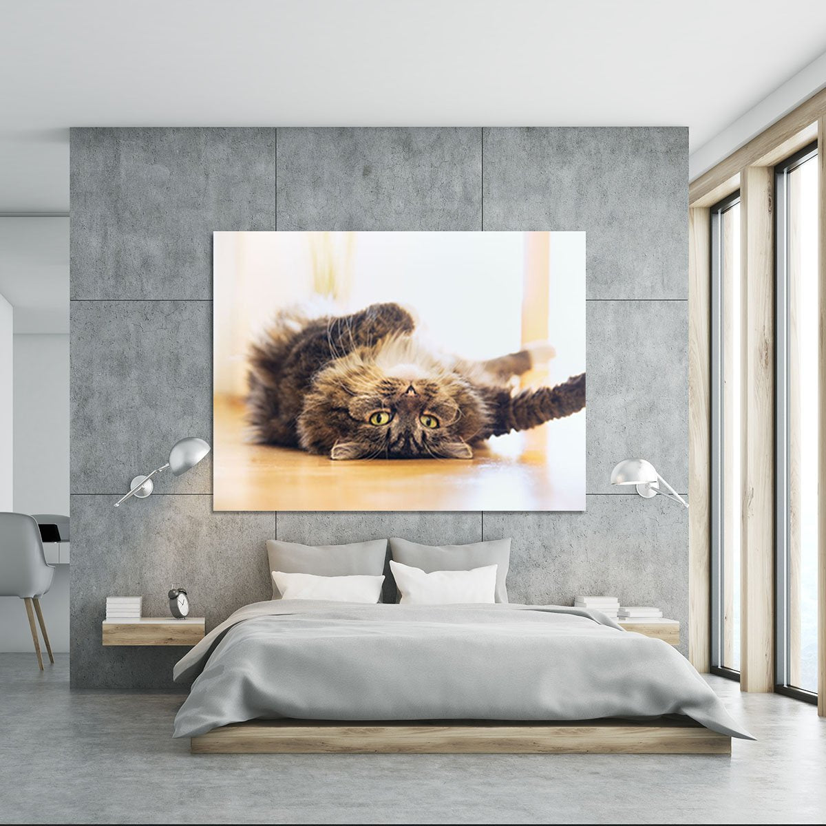 Funny cat is lying relaxed on his back Canvas Print or Poster