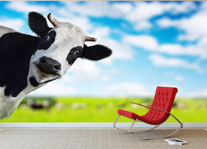 Funny cow looking at a camera Wall Mural Wallpaper - Canvas Art Rocks - 2