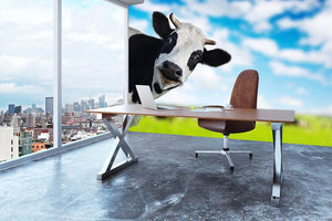 Funny cow looking at a camera Wall Mural Wallpaper - Canvas Art Rocks - 3