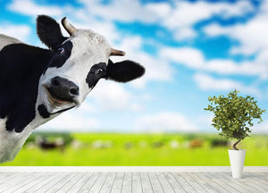 Funny cow looking at a camera Wall Mural Wallpaper - Canvas Art Rocks - 4