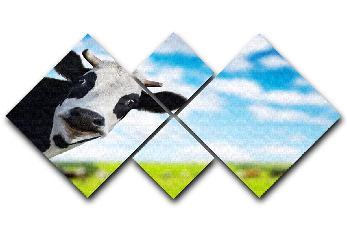 Funny cow looking to a camera 4 Square Multi Panel Canvas - Canvas Art Rocks - 1