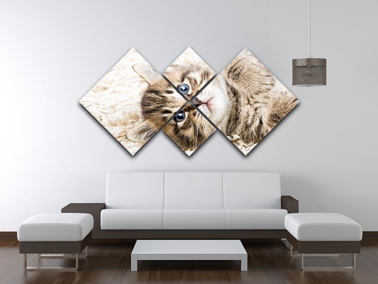 Funny kitten in carpet 4 Square Multi Panel Canvas - Canvas Art Rocks - 3
