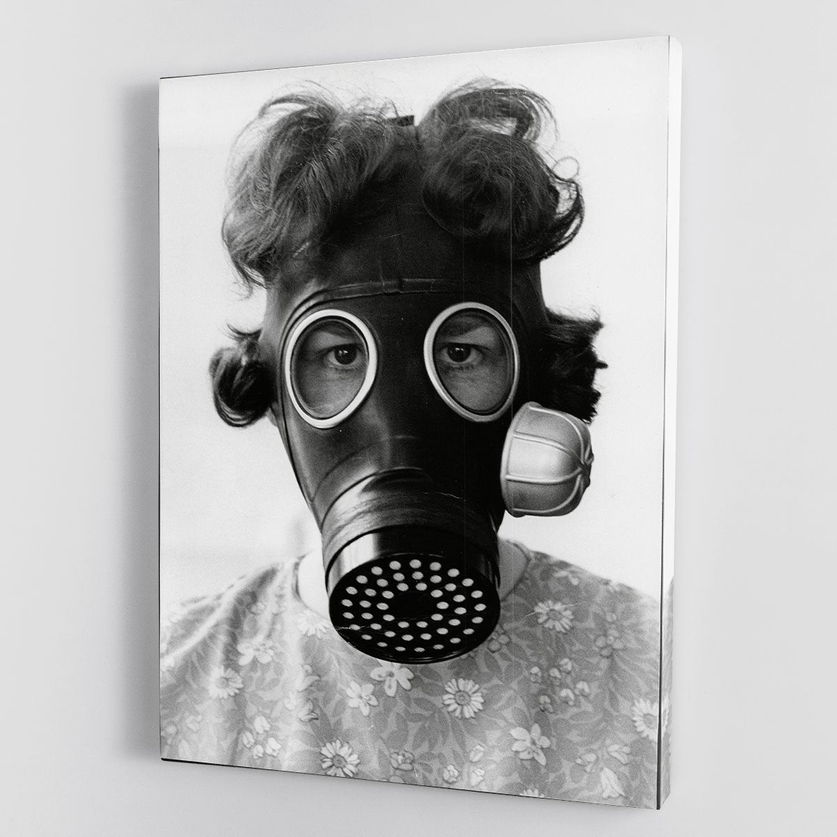 Gas Mask Canvas Print or Poster