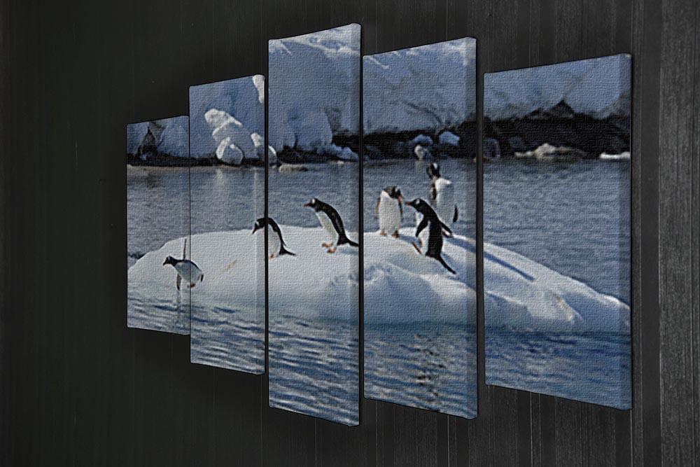 Gentoo Penguin playtime 5 Split Panel Canvas - Canvas Art Rocks - 2