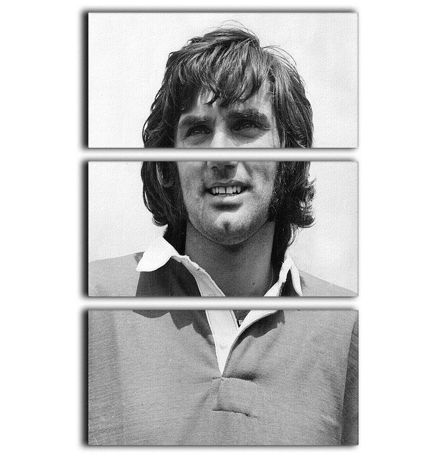 George Best Icon 3 Split Panel Canvas Print - Canvas Art Rocks - 1