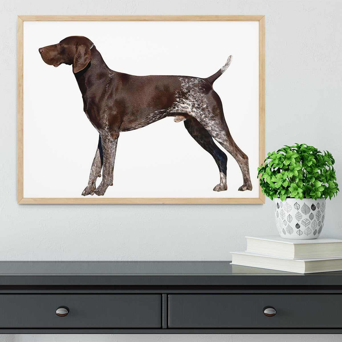 German Shorthaired Pointer Framed Print - Canvas Art Rocks - 4