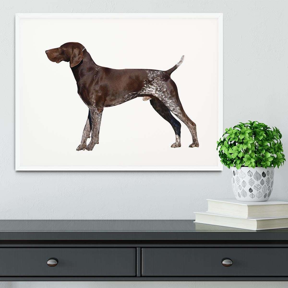 German Shorthaired Pointer Framed Print - Canvas Art Rocks - 5