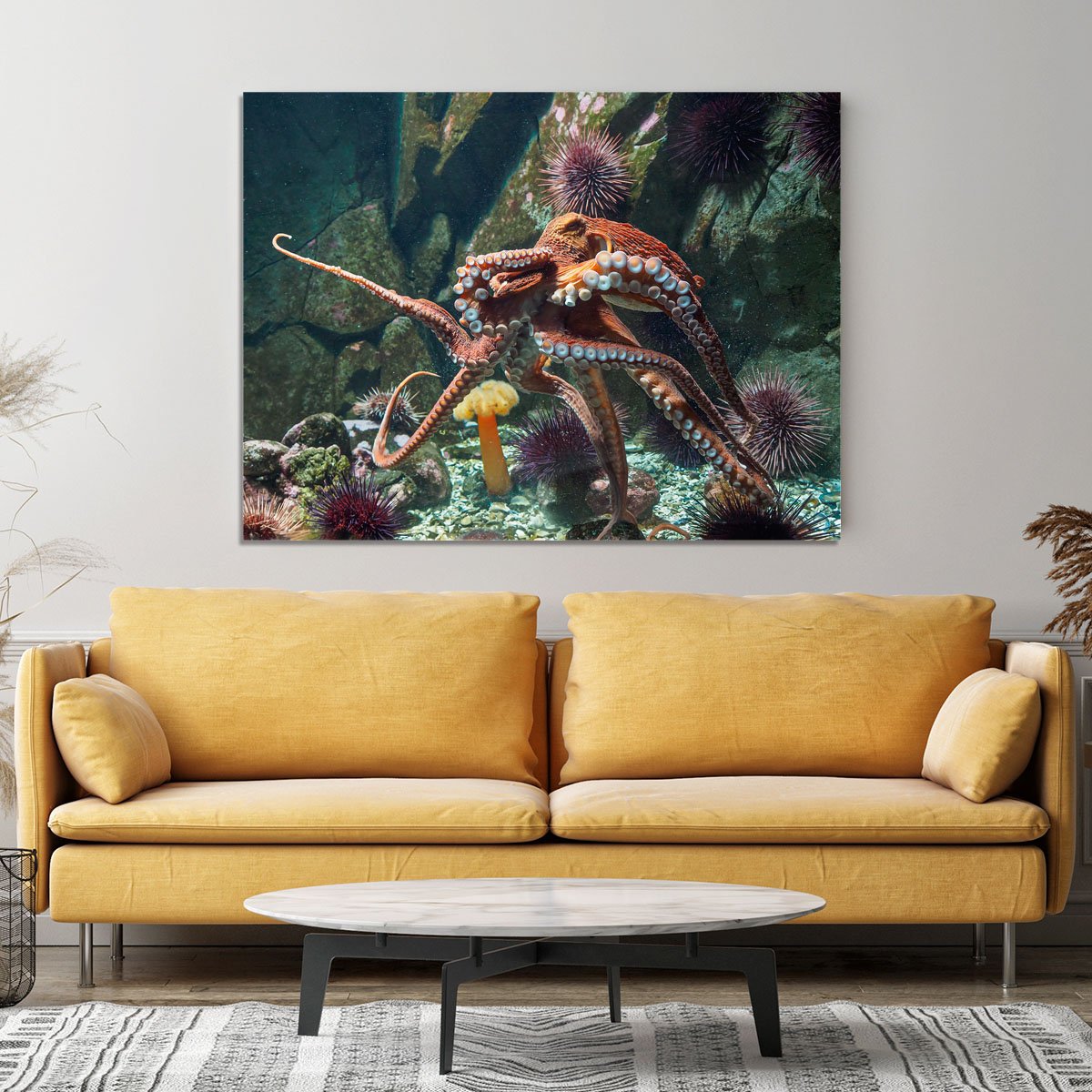 Giant Pacific octopus Canvas Print or Poster