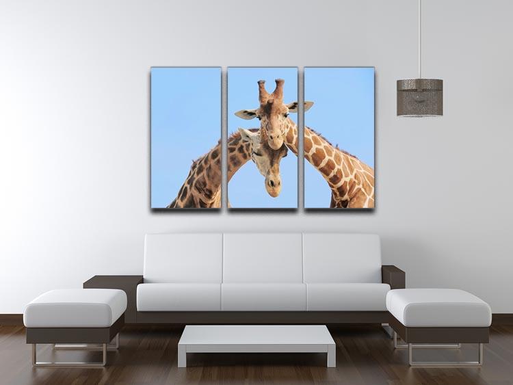 Giraffe couple in love with blue sky on background 3 Split Panel Canvas Print - Canvas Art Rocks - 3