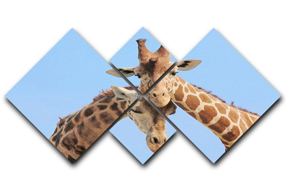 Giraffe couple in love with blue sky on background 4 Square Multi Panel Canvas - Canvas Art Rocks - 1