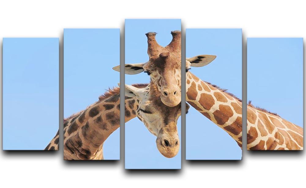 Giraffe couple in love with blue sky on background 5 Split Panel Canvas - Canvas Art Rocks - 1