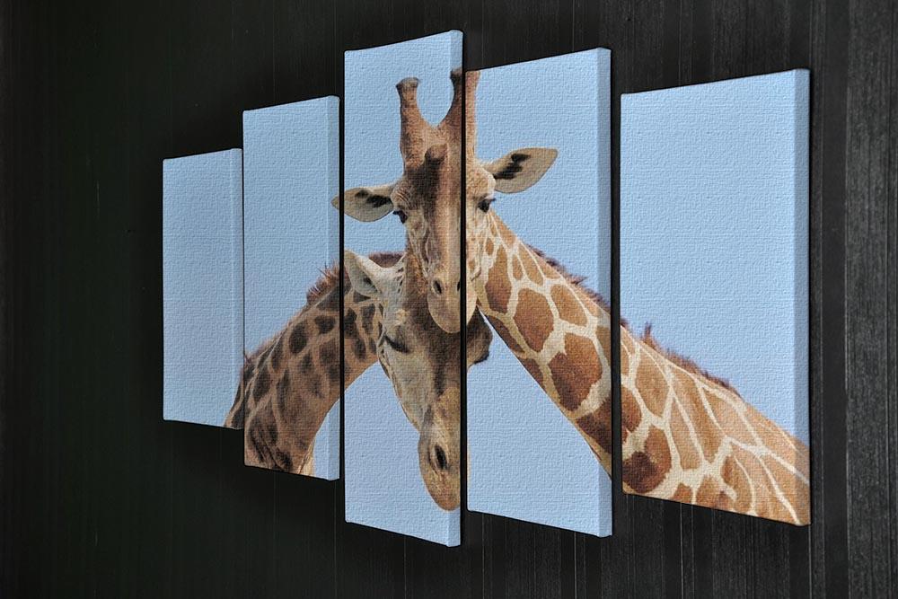 Giraffe couple in love with blue sky on background 5 Split Panel Canvas - Canvas Art Rocks - 2
