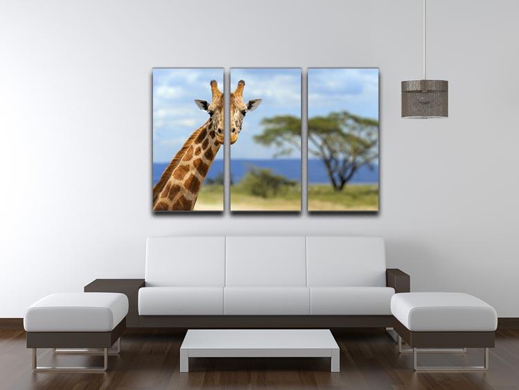 Giraffe in front Amboseli national park Kenya 3 Split Panel Canvas Print - Canvas Art Rocks - 3