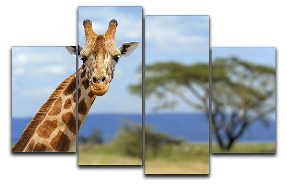 Giraffe in front Amboseli national park Kenya 4 Split Panel Canvas - Canvas Art Rocks - 1