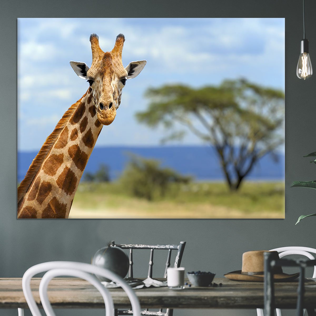 Giraffe in front Amboseli national park Kenya Canvas Print or Poster