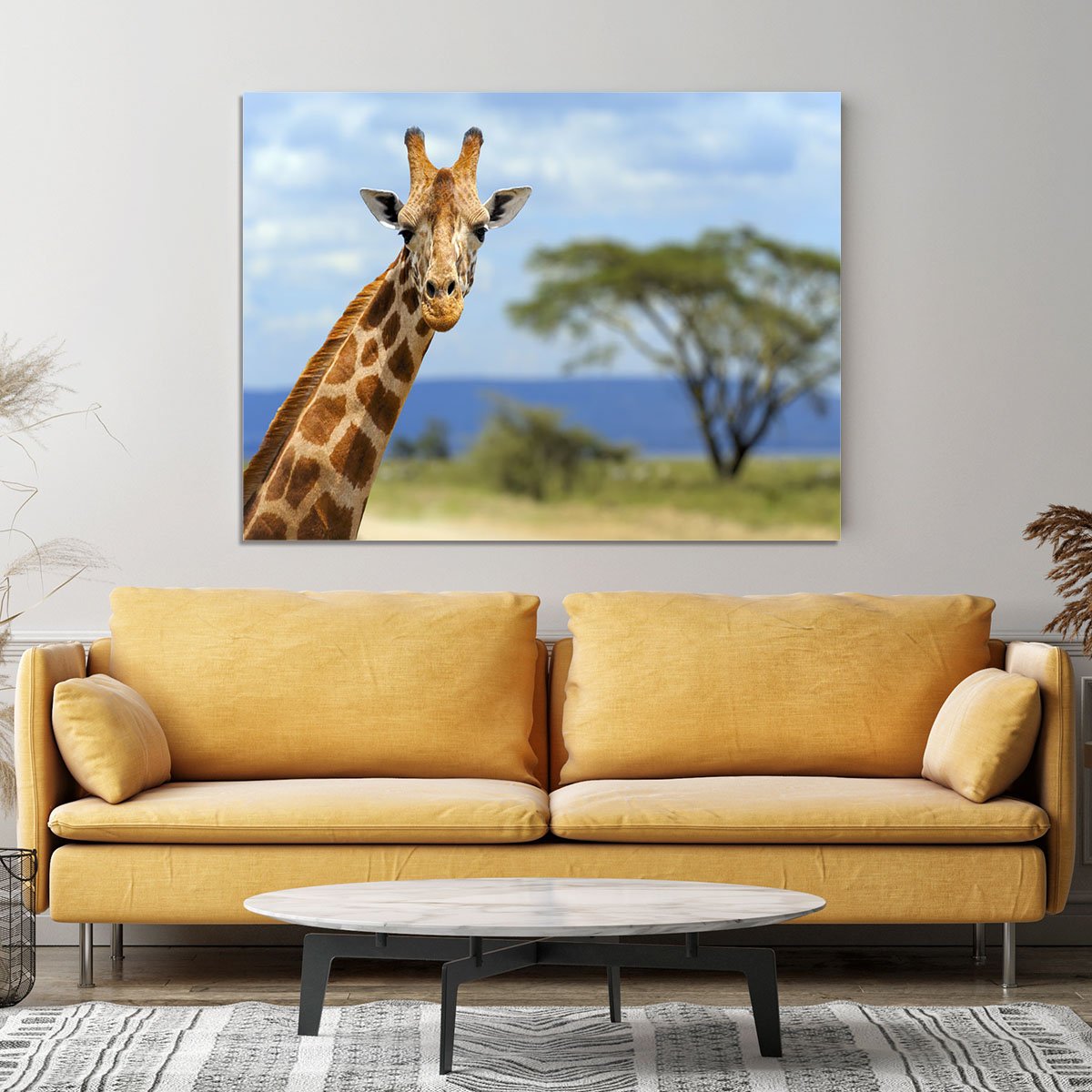 Giraffe in front Amboseli national park Kenya Canvas Print or Poster