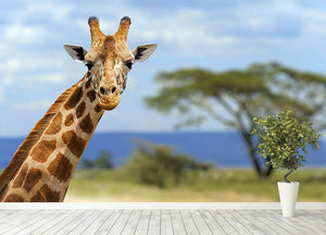 Giraffe in front Amboseli national park Kenya Wall Mural Wallpaper - Canvas Art Rocks - 4
