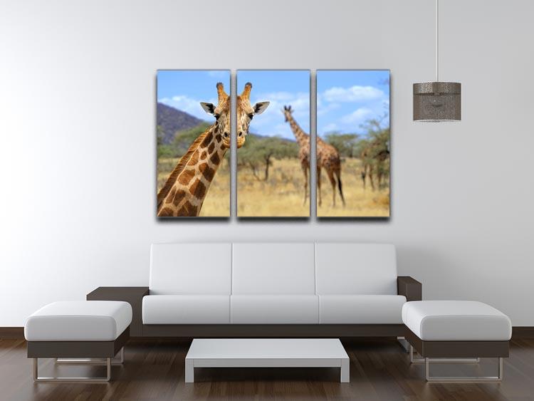 Giraffe in national park Kenya 3 Split Panel Canvas Print - Canvas Art Rocks - 3