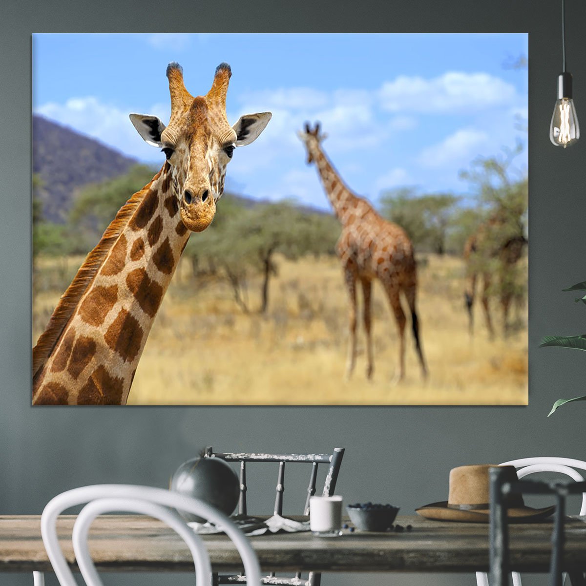 Giraffe in national park Kenya Canvas Print or Poster