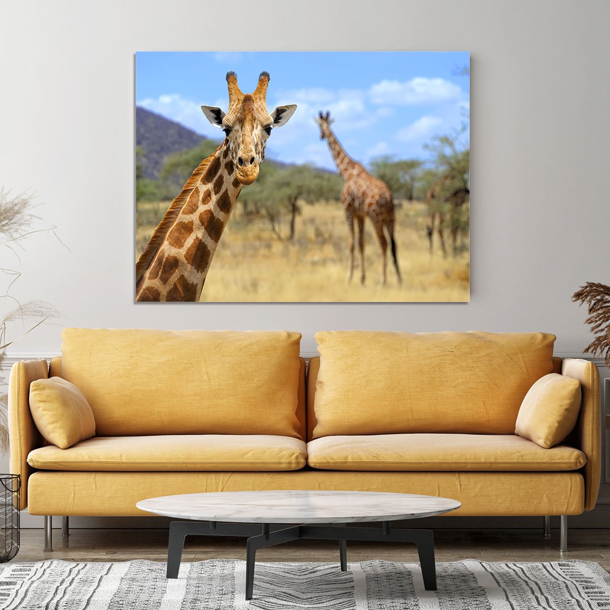 Giraffe in national park Kenya Canvas Print or Poster
