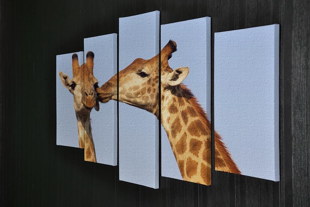 Giraffe pair bonding 5 Split Panel Canvas - Canvas Art Rocks - 2