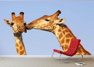 Giraffe pair bonding Wall Mural Wallpaper - Canvas Art Rocks - 2