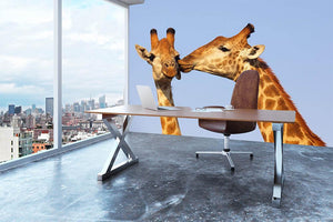Giraffe pair bonding Wall Mural Wallpaper - Canvas Art Rocks - 3