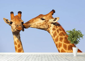 Giraffe pair bonding Wall Mural Wallpaper - Canvas Art Rocks - 4