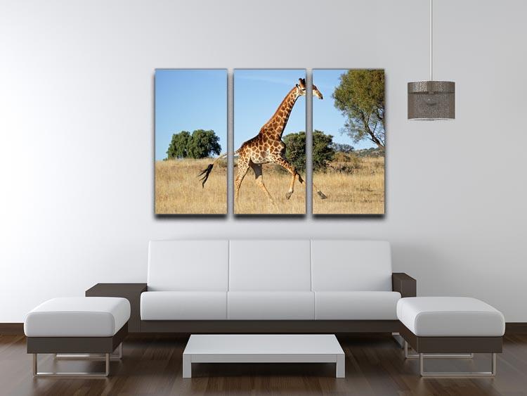 Giraffe running on the African plains South Africa 3 Split Panel Canvas Print - Canvas Art Rocks - 3
