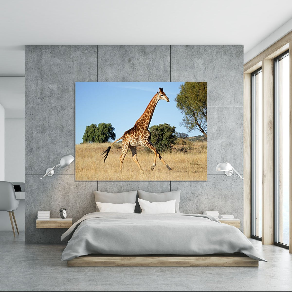 Giraffe running on the African plains South Africa Canvas Print or Poster