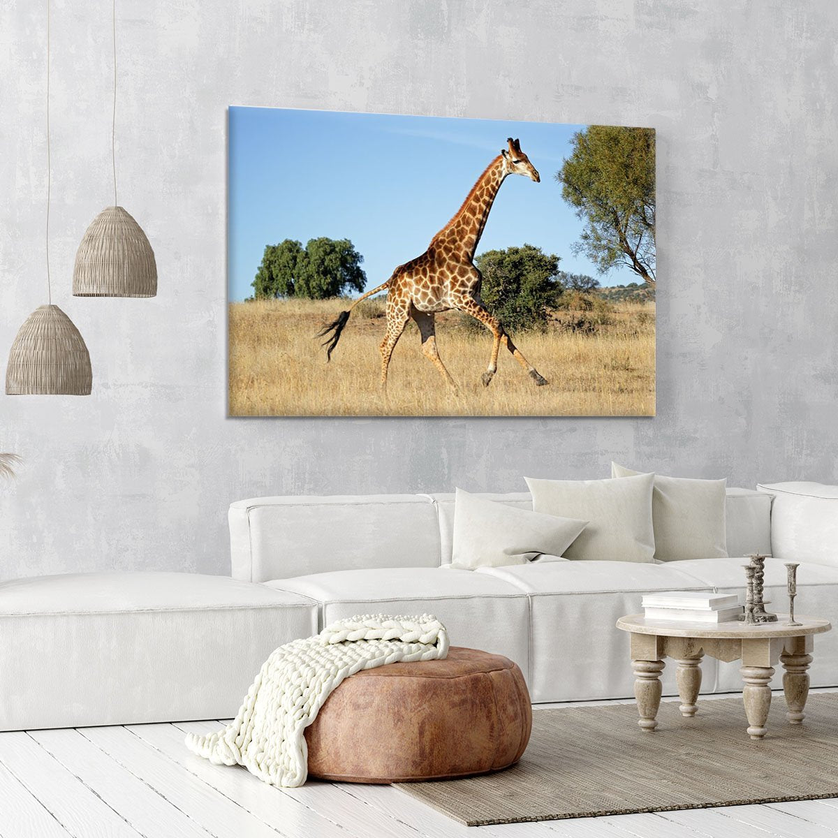 Giraffe running on the African plains South Africa Canvas Print or Poster