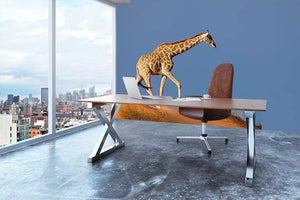 Giraffe walking on a sand dune Kalahari desert South Africa Wall Mural Wallpaper - Canvas Art Rocks - 3