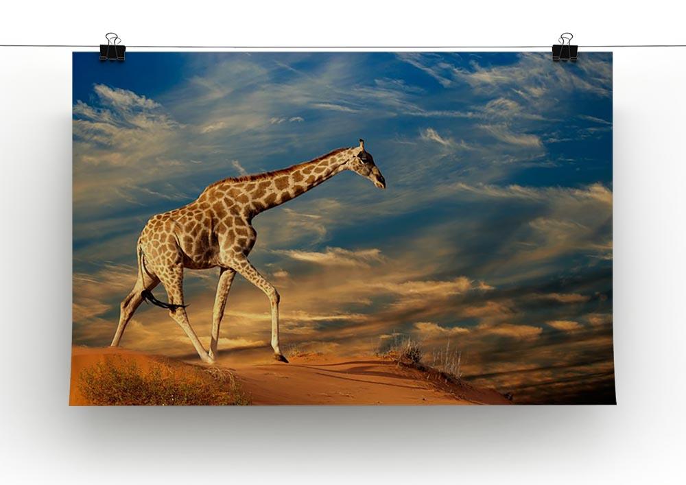 Giraffe walking on a sand dune with clouds South Africa Canvas Print or Poster - Canvas Art Rocks - 2