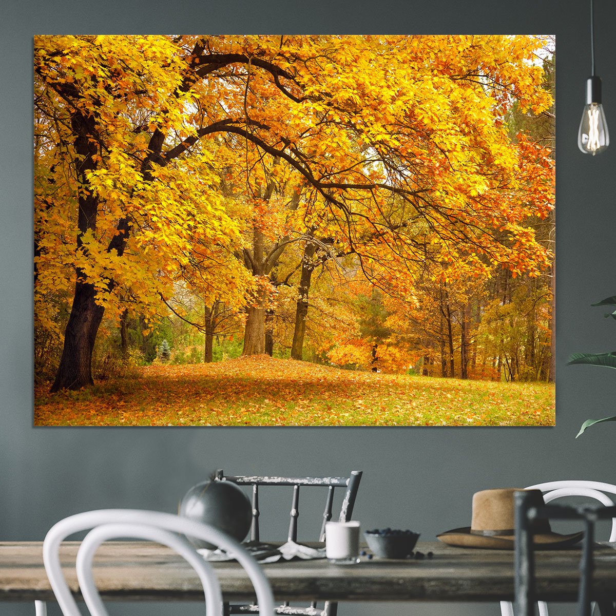 Gold Trees in a park Canvas Print or Poster