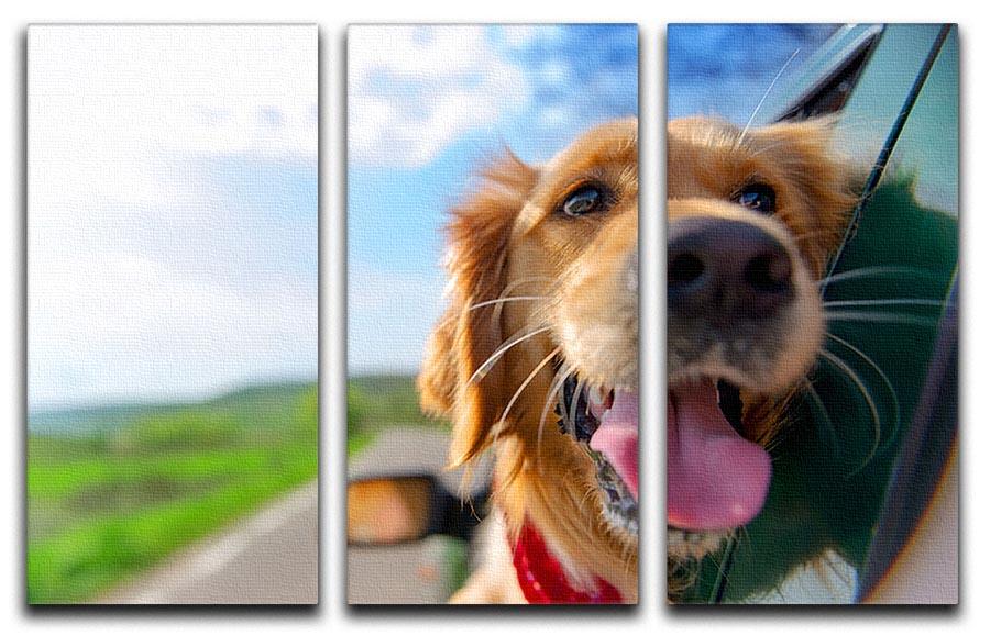 Golden Retriever Looking Out Of Car Window 3 Split Panel Canvas Print - Canvas Art Rocks - 1