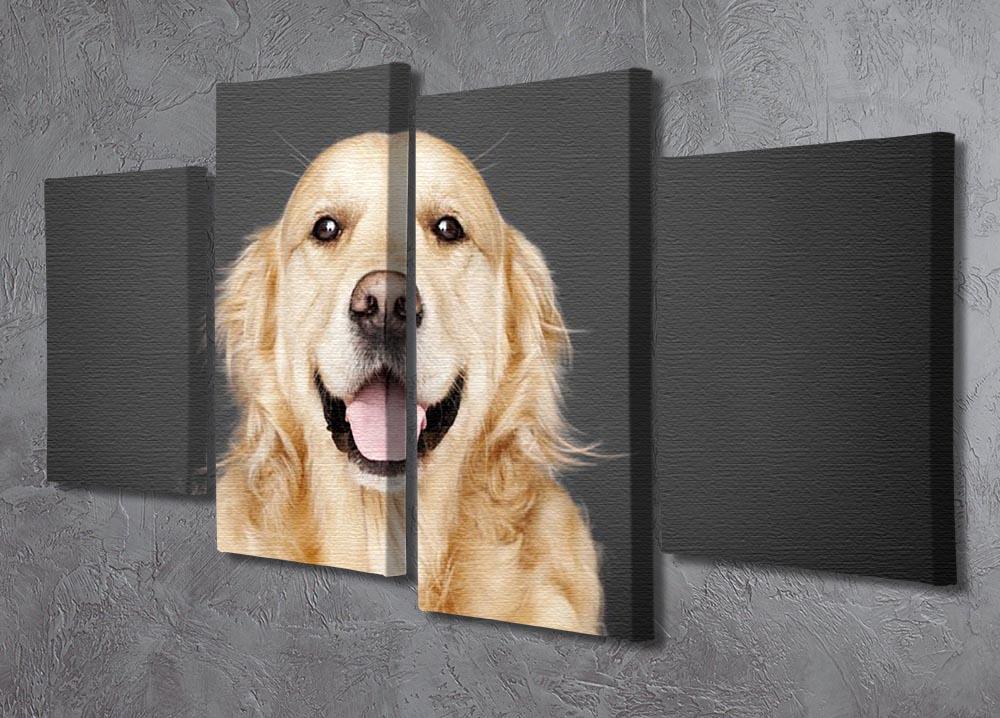Golden Retriever isolated on grey 4 Split Panel Canvas - Canvas Art Rocks - 2