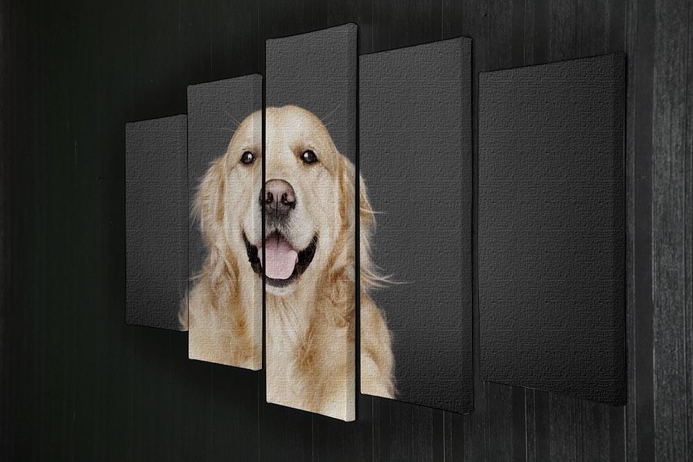 Golden Retriever isolated on grey 5 Split Panel Canvas - Canvas Art Rocks - 2