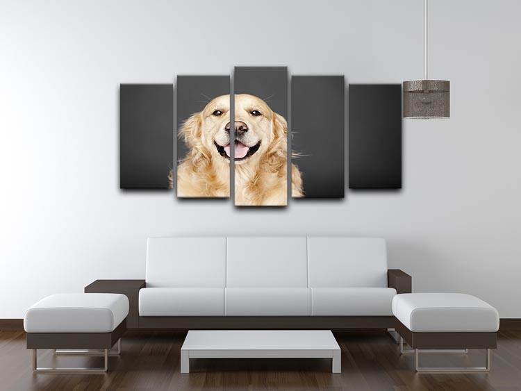 Golden Retriever isolated on grey 5 Split Panel Canvas - Canvas Art Rocks - 3
