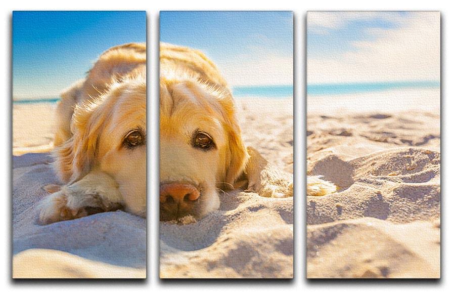 Golden retriever dog relaxing resting 3 Split Panel Canvas Print - Canvas Art Rocks - 1