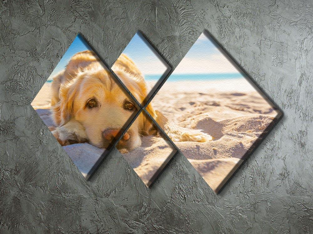 Golden retriever dog relaxing resting 4 Square Multi Panel Canvas - Canvas Art Rocks - 2