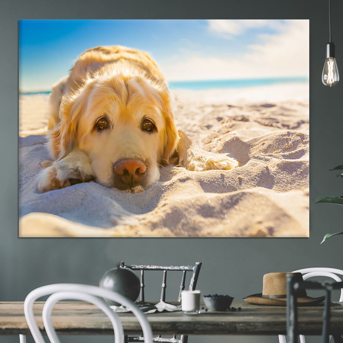 Golden retriever dog relaxing resting Canvas Print or Poster