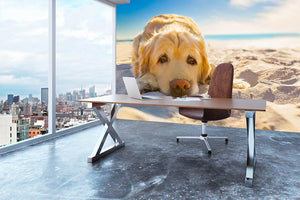 Golden retriever dog relaxing resting Wall Mural Wallpaper - Canvas Art Rocks - 3