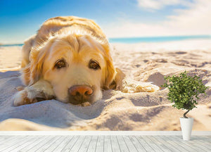 Golden retriever dog relaxing resting Wall Mural Wallpaper - Canvas Art Rocks - 4